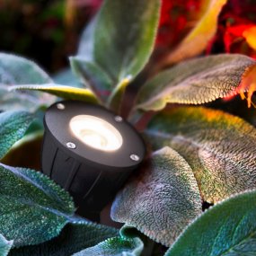 Luminius Dunkelgrau Von Lightson - Eine Lampe mit engem Abstrahlwinkel (15&deg;), die sich ideal f&uuml;r B&auml;ume eignet, bei denen der Stamm hervorgehoben oder die gesamte Baumkrone ausgeleuchtet werden soll, beispielsweise bei hohen Kiefern und Birken.