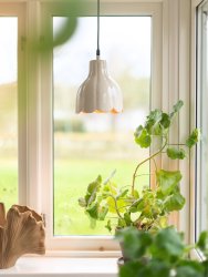 Tulippa Ø17 Beige fensterlampe Von PR Home - Die Inspiration für die Lampe stammt von einer Tulpe aus Carl Larssons Gemälden und Gärten.