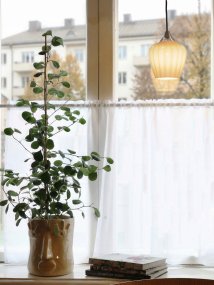 Amalfi Ø14 Aprikose fensterlampe Von PR Home - Die Leuchte wird mit einem 3,5 m langen schwarzen Textilkabel und einem Netzstecker geliefert.