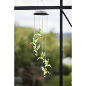 Kolibri Grün solarleuchte Von Star Trading - 