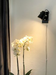 Metz Schwarz leselampe Von Aneta Lighting - Schwarz mit Messingdetails und seiner stilvollen Form vermittelt es einen klassischen Eindruck im modernen Vintage-Stil.