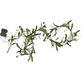 Lichtergirlande Olivec 1,8m Grün Von Star Trading - Vermeiden Sie l&auml;ngere direkte Sonneneinstrahlung und bewahren Sie die Girlande im Innenbereich auf, um ihre Lebensdauer zu verl&auml;ngern.