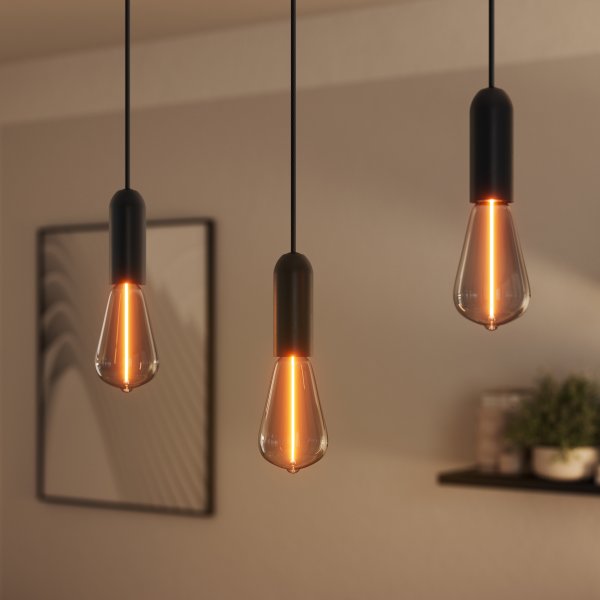 Round Ø10 Schwarz hängelampe Von Ledvance - 