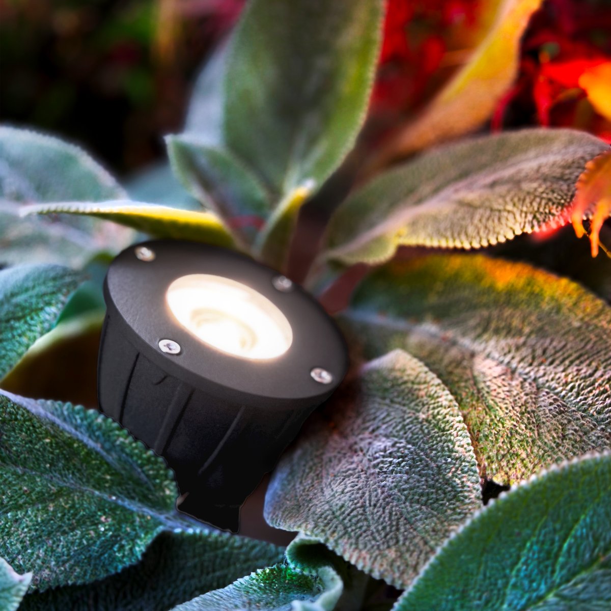 Luminius Dunkelgrau Von Lightson - Eine Lampe mit engem Abstrahlwinkel (15&deg;), die sich ideal f&uuml;r B&auml;ume eignet, bei denen der Stamm hervorgehoben oder die gesamte Baumkrone ausgeleuchtet werden soll, beispielsweise bei hohen Kiefern und Birken.