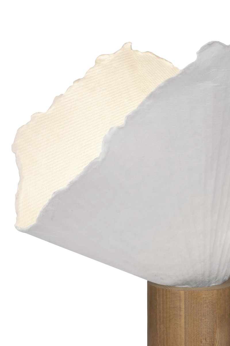 Tropez 35cm Eiche/Weiß tischlampe Von Globen Lighting - Da die Leuchte aus lebendigem Material handgefertigt ist, können Abweichungen in Form und Ausdruck auftreten, was jede Tropez zu einem Unikat macht.