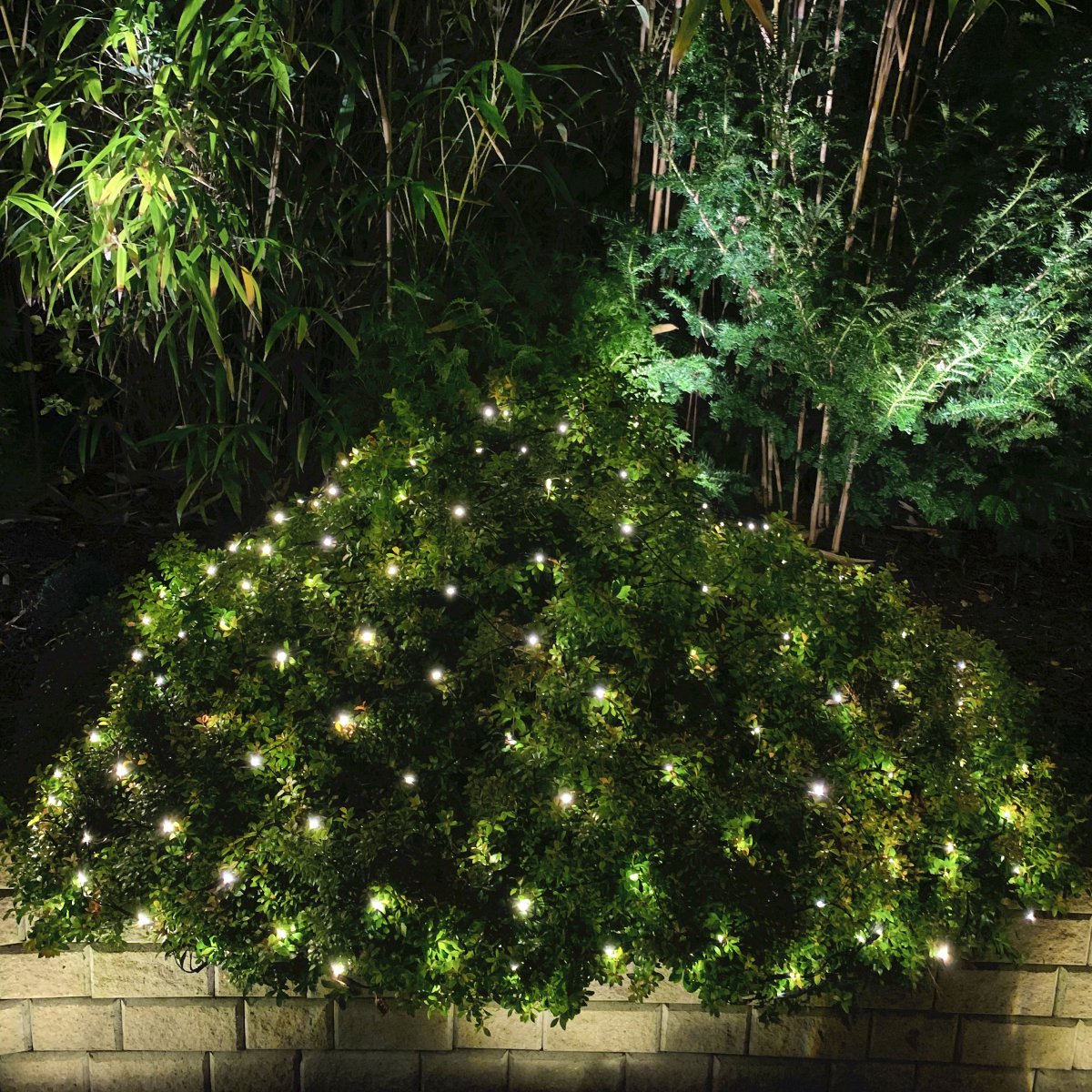 Net Dunkelgrün Von Lightson - Schalten Sie das Licht ein und erfreuen Sie sich an einer glatten und wundersch&ouml;n schimmernden Busch- oder Baumkrone, sowohl zu Weihnachten als auch zu anderen festlichen Anl&auml;ssen.