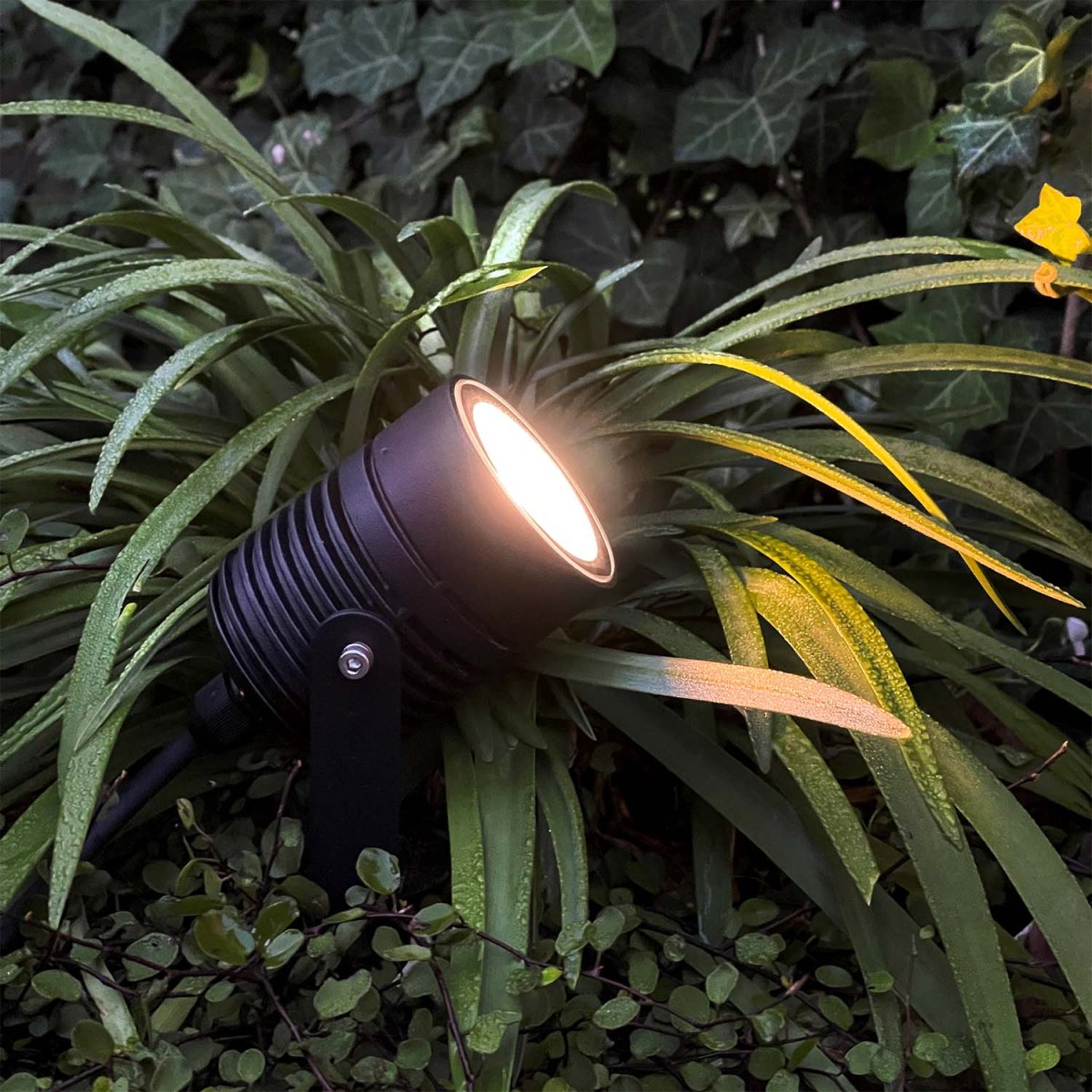 Nova Schwarz Von Lightson - Gruppieren Sie die Lichter in der LightsOn-App, um die Beleuchtung zu erhalten, die am besten zu Ihnen passt.