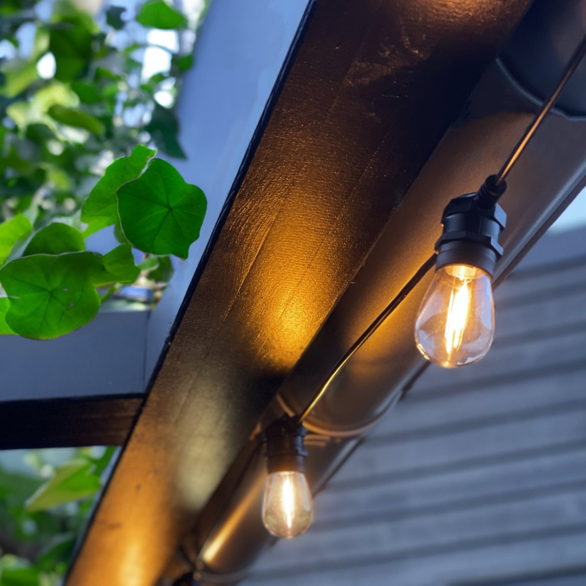 Cozy Start 5m Schwarz Von Lightson - Der Transformator verf&uuml;gt &uuml;ber eine integrierte Dimmfunktion, die den Einstieg erleichtert und Ihnen die volle Kontrolle &uuml;ber die Helligkeit gibt, sodass Sie die perfekte Atmosph&auml;re schaffen.