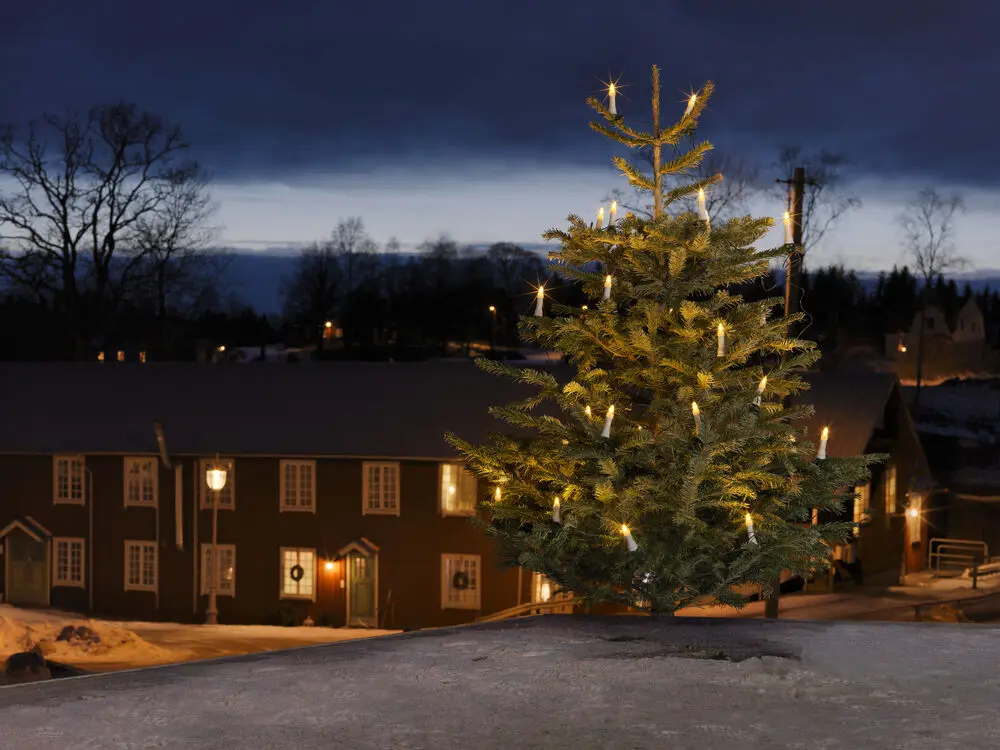 Weihnachtsbaumbeleuchtung Warmweiß 25LED 20m Grün Von Konstsmide - Weihnachtsbaumbeleuchtung mit 25 warmwei&szlig;en DC-LED-Lichtern f&uuml;r einen klassischen und stimmungsvollen Baum.