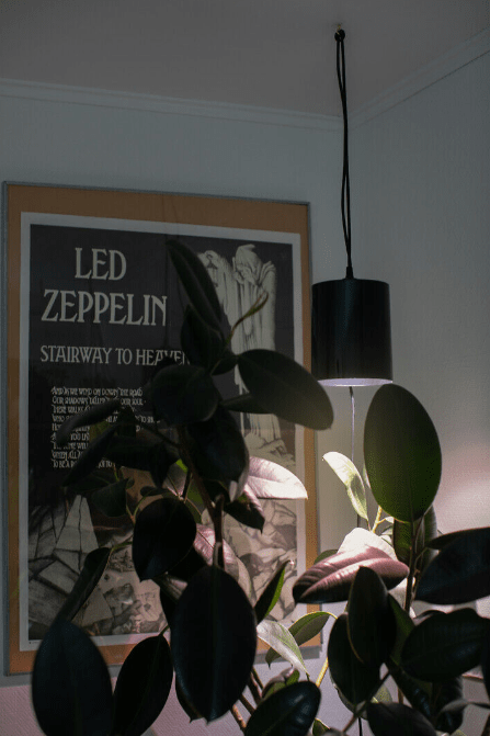 Pflanzenlampe Fiora Schwarz Von Airam - Die Leuchte verf&uuml;gt &uuml;ber einen Hochglanzreflektor und ein LED-Wachstumslicht, das ein angenehmes Licht f&uuml;r die Augen bietet und gleichzeitig Ihre Pflanzen zu besserem und schnellerem Wachstum anregt.