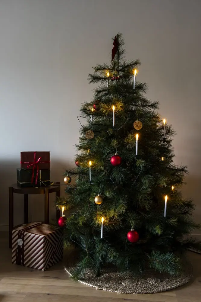 Weihnachtsbaumbeleuchtung Amber 16LED 15m Grün Von Konstsmide - Weihnachtsbaumbeleuchtung f&uuml;r den Innenbereich mit 16 bernsteinfarbenen LED-Lichtern und wundersch&ouml;nen Funkeleffekten, die f&uuml;r ein lebendiges Leuchten sorgen.