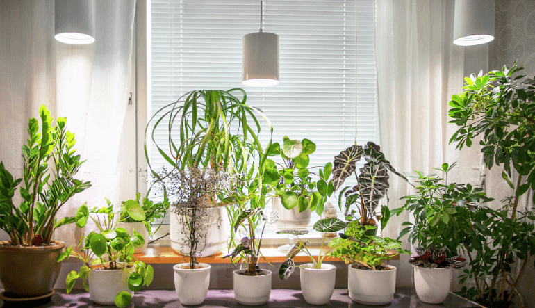 Pflanzenlampe Fiora Weiß Von Airam - Die Leuchte verf&uuml;gt &uuml;ber einen Hochglanzreflektor und ein LED-Wachstumslicht, das ein angenehmes Licht f&uuml;r die Augen bietet und gleichzeitig Ihre Pflanzen zu besserem und schnellerem Wachstum anregt.