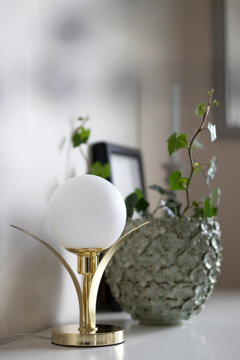 Savoy 26cm Messing tischlampe Von Globen Lighting - Tischlampe mit drei wunderschönen, messingbeschichteten Biegeblättern, die in der Mitte ein opalfarbenes, rundes Glas halten.