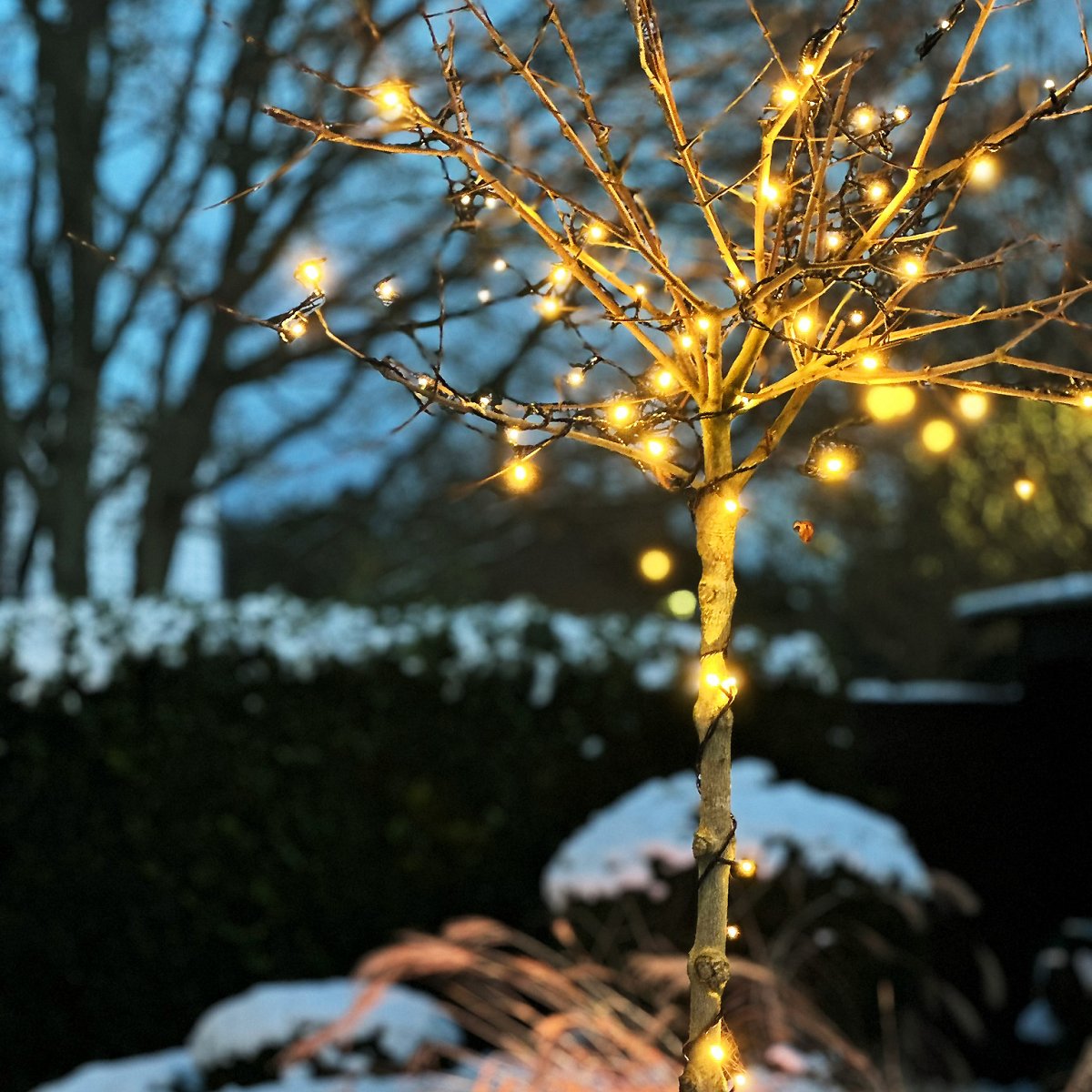Glimmer Schwarz Von Lightson - Ein flexibles und g&uuml;nstiges 12-Volt-System (sichere Kleinspannung) f&uuml;r Ihren Garten, das Sie einfach selbst installieren und sp&auml;ter bei Bedarf auf bis zu 50 Meter erweitern k&ouml;nnen.