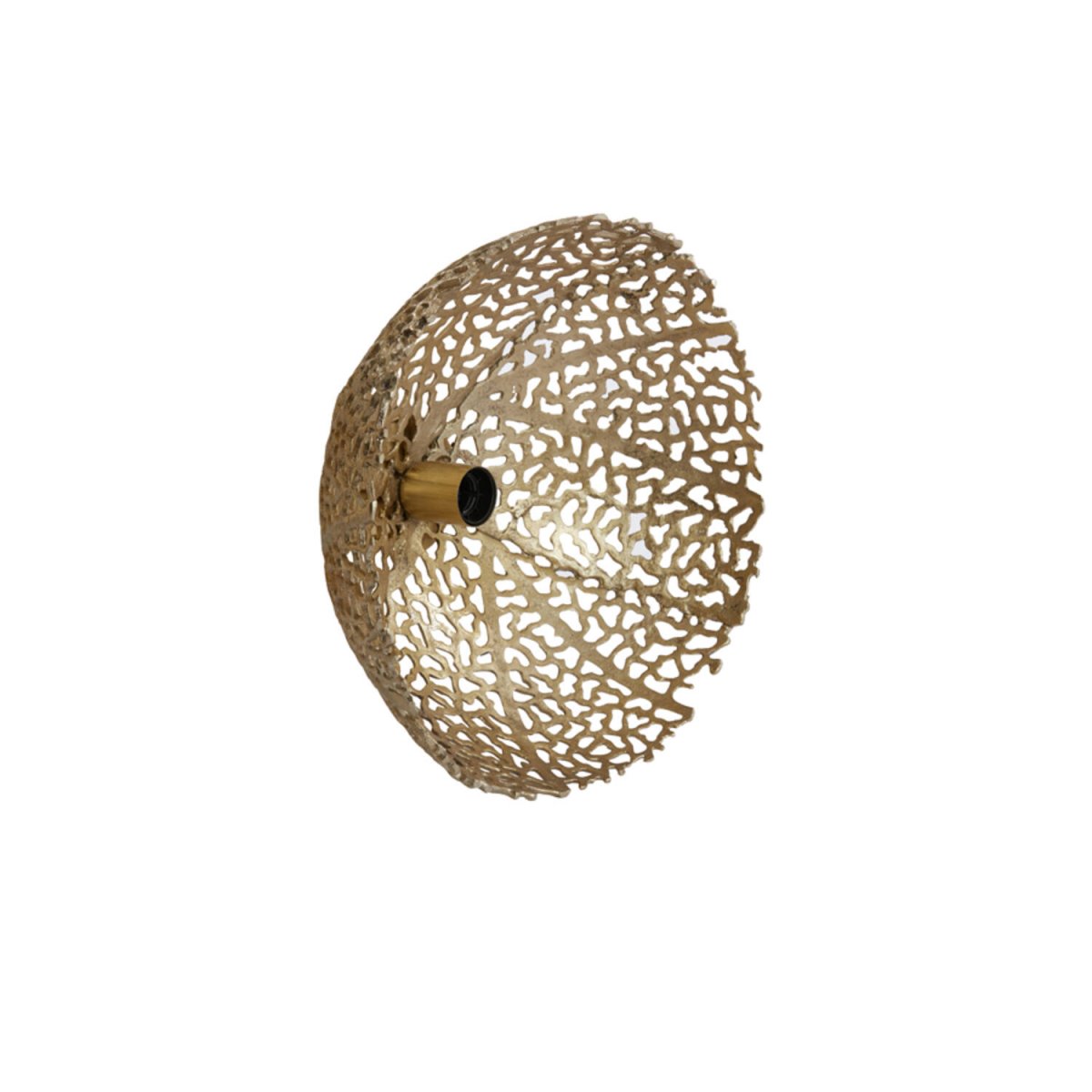 Sinula Ø40 Gold wandlampe Von Light & Living - 