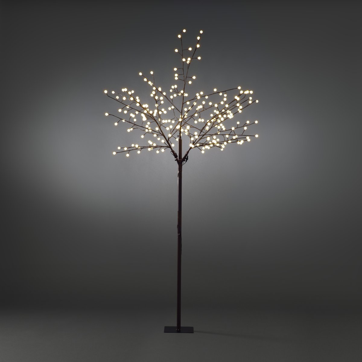 Brauner Baum 250cm Braun Von Konstsmide - Schaffen Sie mit dieser Lichterkette eine stimmungsvolle Atmosph&auml;re &ndash; Ein Deko-Liebling zur Weihnachtszeit und das ganze Jahr &uuml;ber!