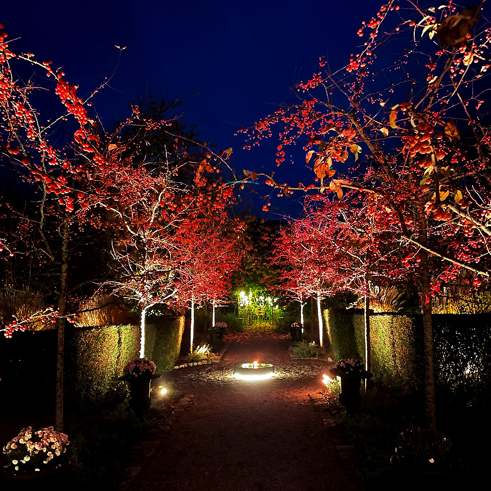 Arcus Schwarz Von Lightson - Mit 16 Millionen Farben zur Auswahl sind die M&ouml;glichkeiten endlos, sowohl f&uuml;r einzelne F&auml;den als auch f&uuml;r das perfekte Gef&uuml;hl f&uuml;r den Alltag und Partys im Lounge-Umfeld.