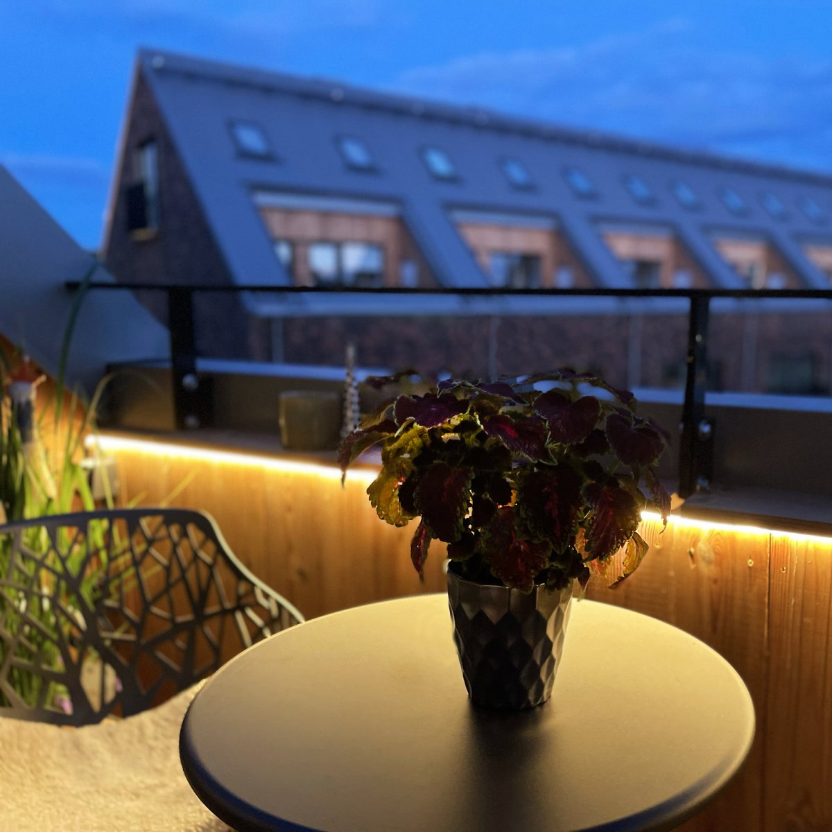 Strip (2.5m) Transparent Von Lightson - Sie können es auch an der Innenseite eines Topfes oder am Rand eines Blumenbeets anbringen, wo es schwierig sein kann, einen schönen und gleichmäßigen Lichtfluss zu erreichen.