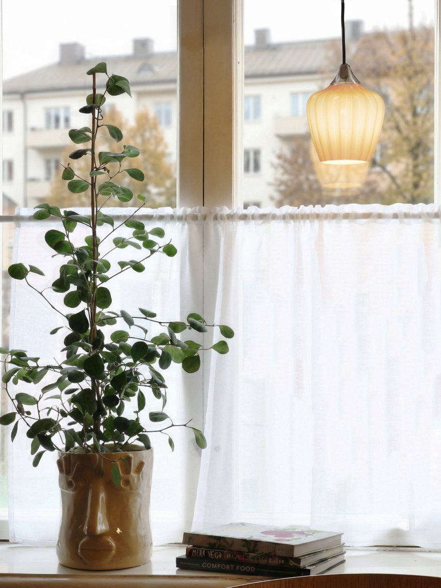 Amalfi Ø14 Aprikose fensterlampe Von PR Home - Die Leuchte wird mit einem 3,5 m langen schwarzen Textilkabel und einem Netzstecker geliefert.
