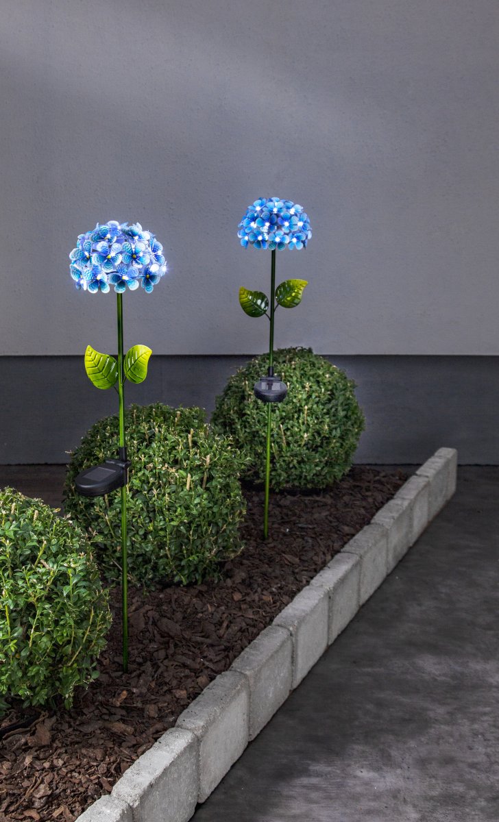 Hortensia Blau solarleuchte Von Star Trading - Kleine Lichtpunkte in Form von Tautropfen tauchen die Blüte in ein kühles, weißes Licht und erzeugen abends eine stimmungsvolle Atmosphäre.