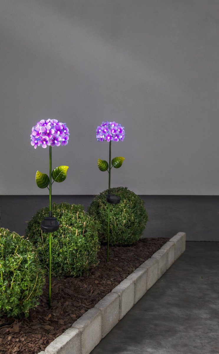 Hortensia Rosa solarleuchte Von Star Trading - Die kleinen, tautropfenf&ouml;rmigen Lichtpunkte tauchen die Bl&uuml;te in ein k&uuml;hles, wei&szlig;es Licht und erzeugen abends eine stimmungsvolle Atmosph&auml;re.