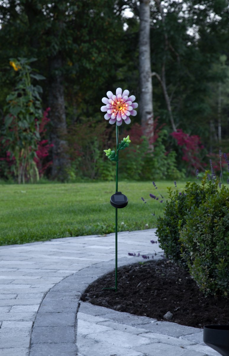 Daisy Rosa solarleuchte Von Star Trading - Die ausgeschnittene Metallblume ist eine schöne Dekoration und lässt sich leicht in eine Bepflanzung im Garten oder auf einen Tisch stellen.