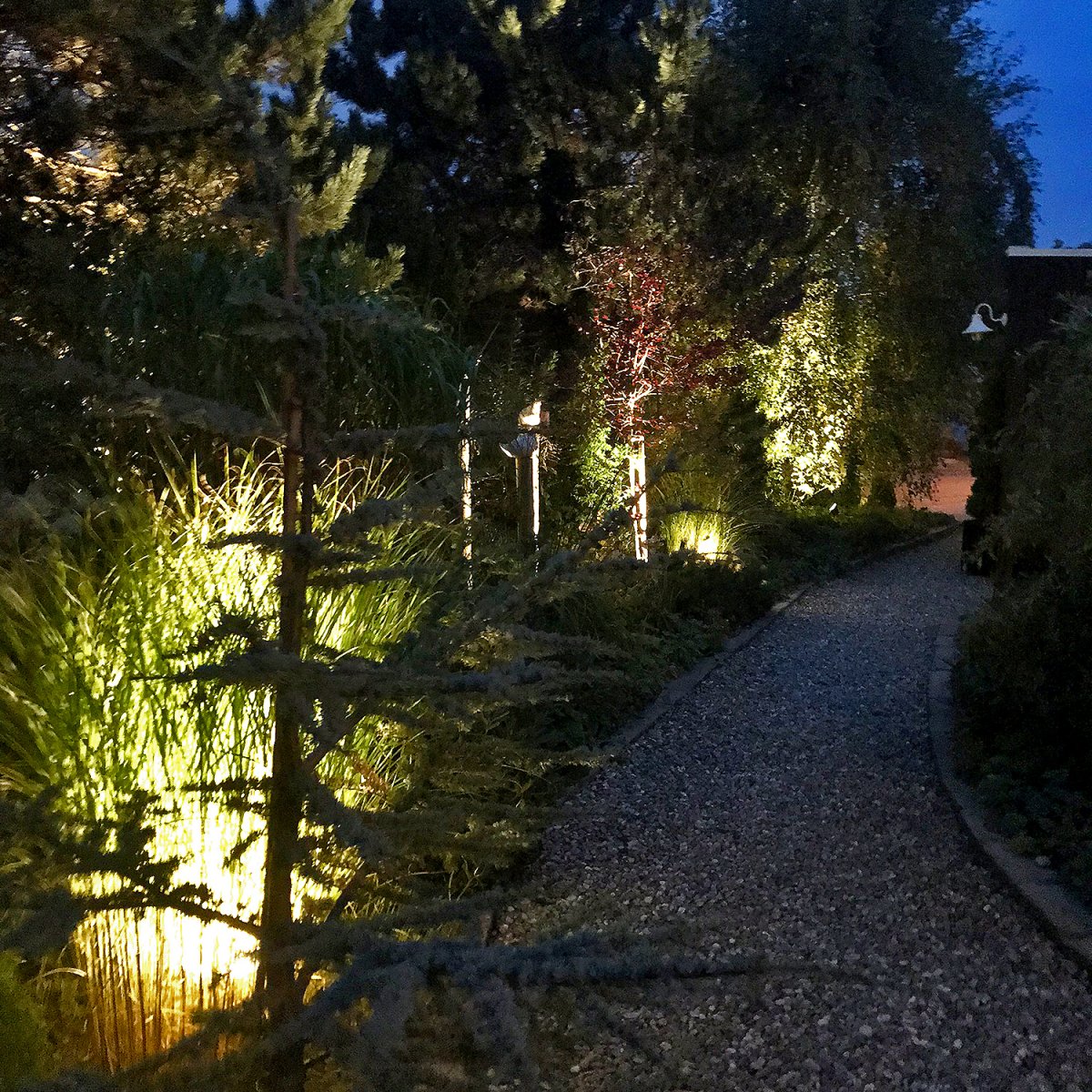 Luna Silber Von Lightson - Um sehr breite und niedrige B&auml;ume zu beleuchten, die Sie aus mehreren Winkeln sehen, k&ouml;nnen Sie zwei Lichter zu Ihrem Vorteil nutzen.