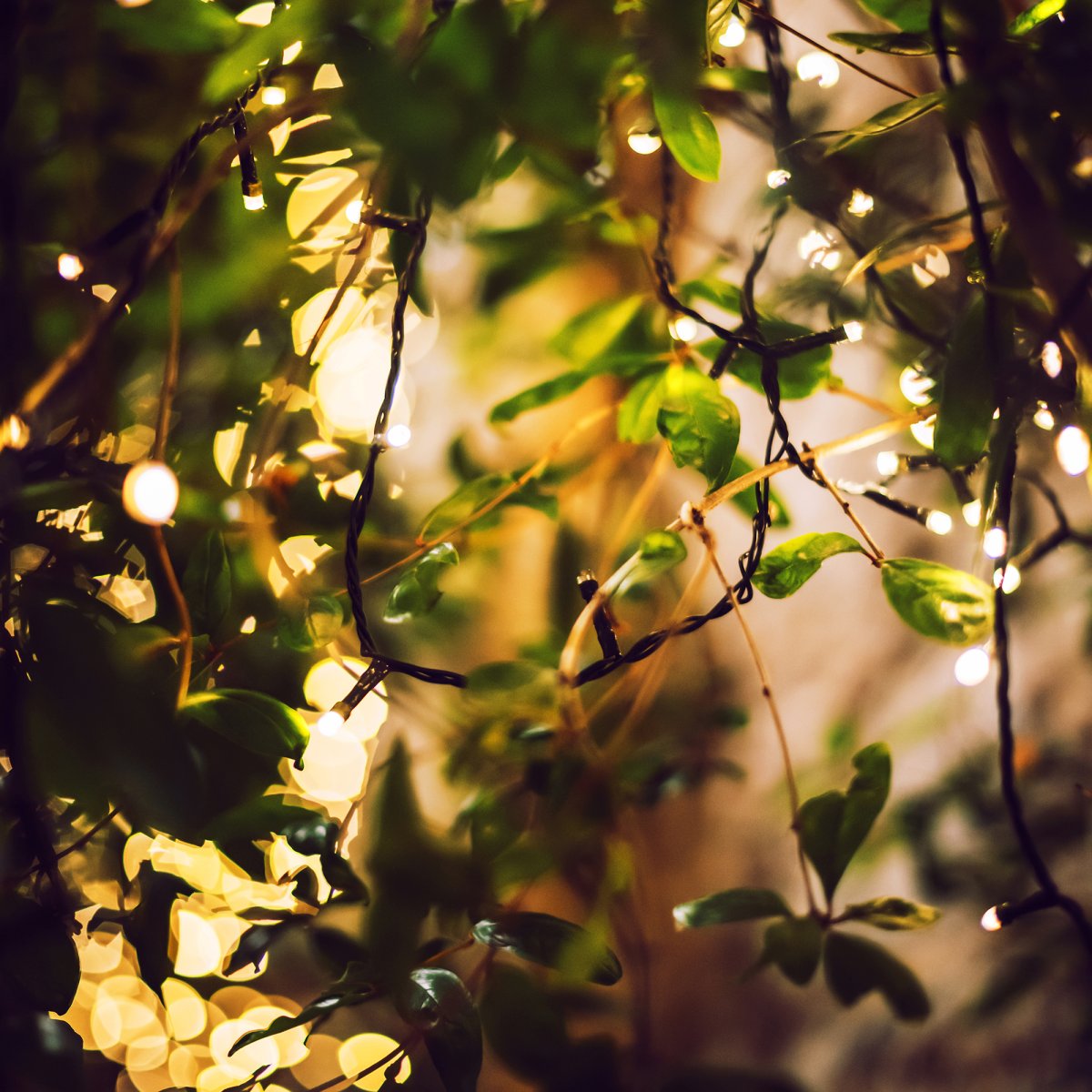 Glimmer Schwarz Von Lightson - Ein flexibles und g&uuml;nstiges 12-Volt-System (sichere Kleinspannung) f&uuml;r Ihren Garten, das Sie einfach selbst installieren und sp&auml;ter bei Bedarf auf bis zu 50 Meter erweitern k&ouml;nnen.