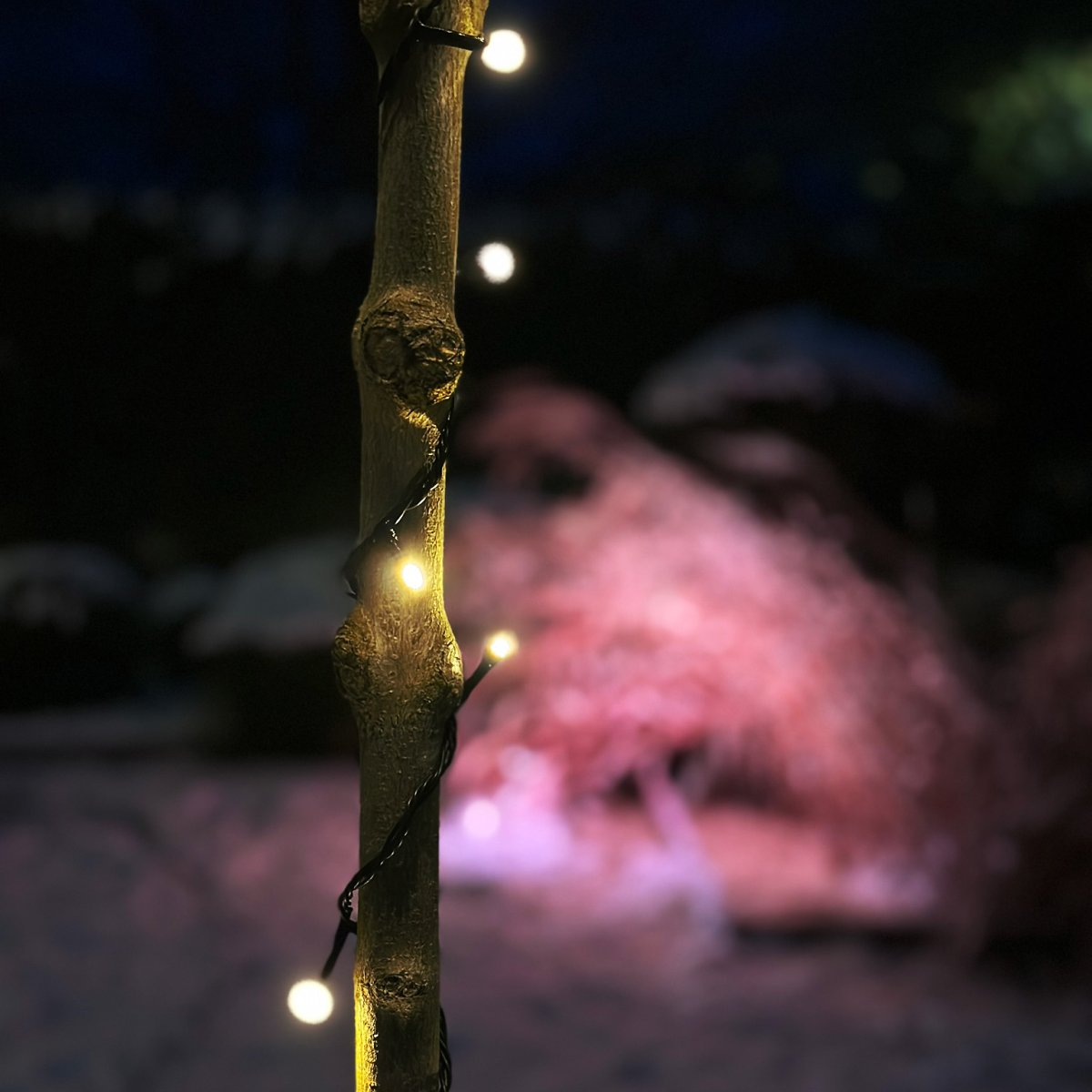 Glimmer Schwarz Von Lightson - Ein flexibles und g&uuml;nstiges 12-Volt-System (sichere Kleinspannung) f&uuml;r Ihren Garten, das Sie einfach selbst installieren und sp&auml;ter bei Bedarf auf bis zu 50 Meter erweitern k&ouml;nnen.