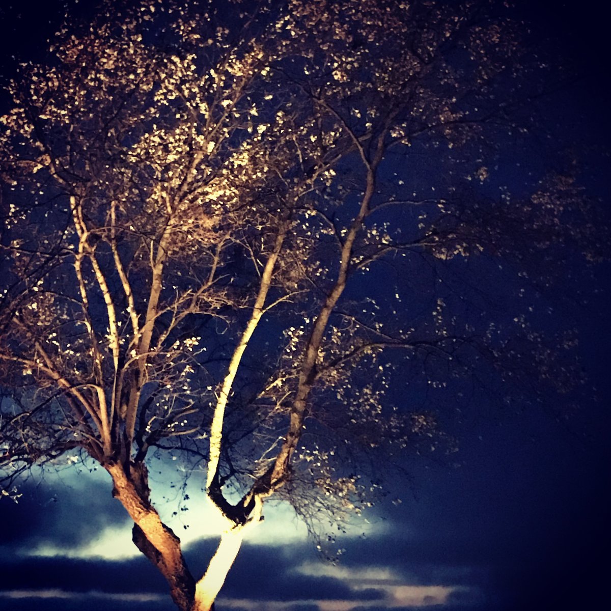 Sirius Schwarz Von Lightson - Wenn Sie es weiter entfernt platzieren, hat das Licht Zeit, sich weiter auszubreiten und kann somit gr&ouml;&szlig;ere Bereiche erreichen.