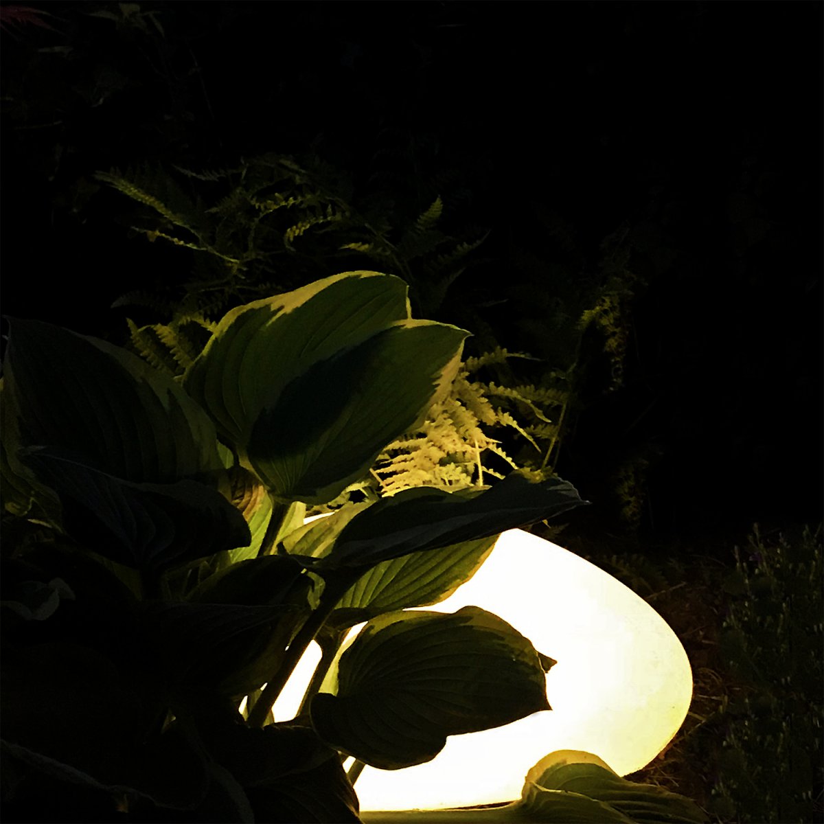 Stone Grau Von Lightson - Das Licht dringt durch das Gr&uuml;n der Pflanzen und erzeugt einen gem&uuml;tlichen Schein, der die Struktur Ihres Gartens hervorhebt.