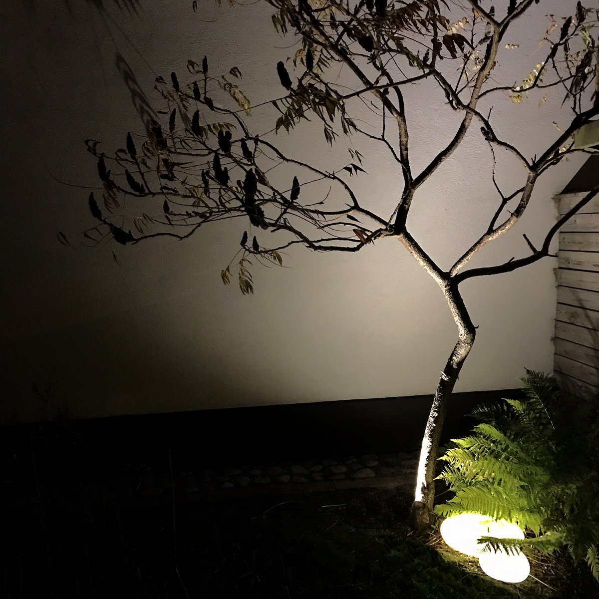 Stone XL Grau Von Lightson - Das Licht dringt durch das Grün der Pflanzen und erzeugt einen gemütlichen Schein, der die Struktur Ihres Gartens hervorhebt.