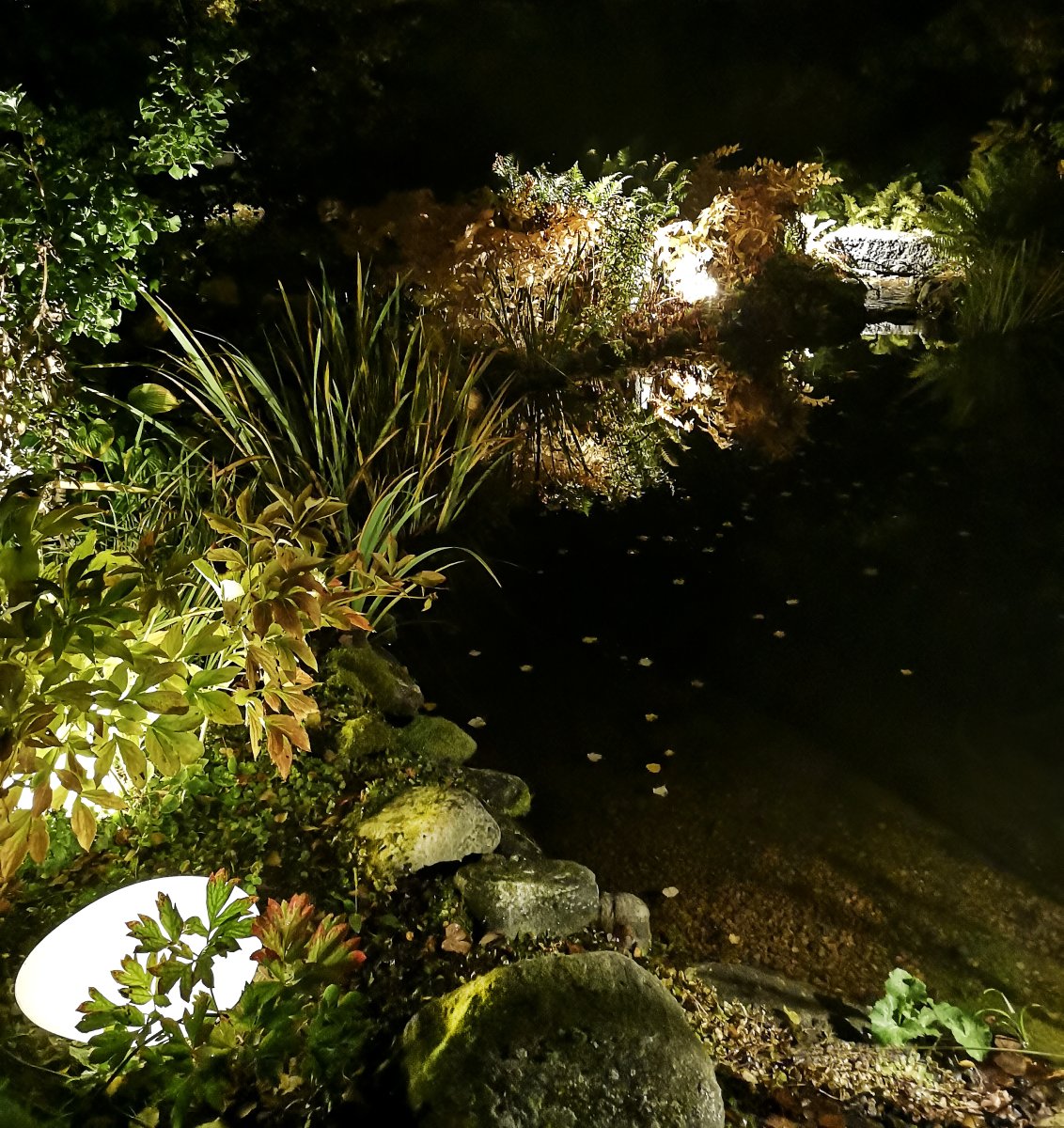 Stone XL Grau Von Lightson - Das Licht dringt durch das Grün der Pflanzen und erzeugt einen gemütlichen Schein, der die Struktur Ihres Gartens hervorhebt.