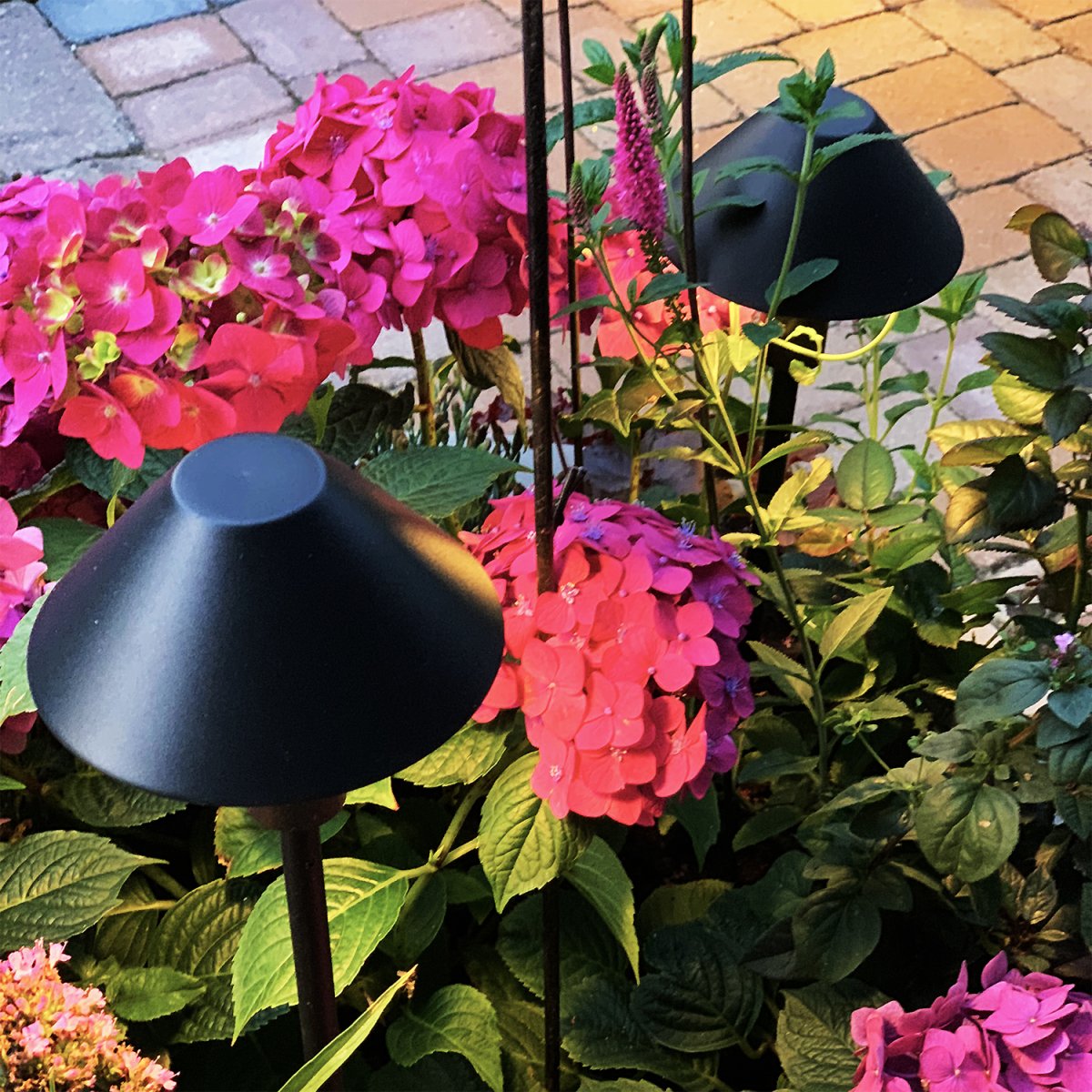Apollo Schwarz Von Lightson - Sie können es auch über etwas in Ihrem Garten platzieren, das Sie hervorheben möchten, beispielsweise ein Vogelbad oder ein Kunstwerk.