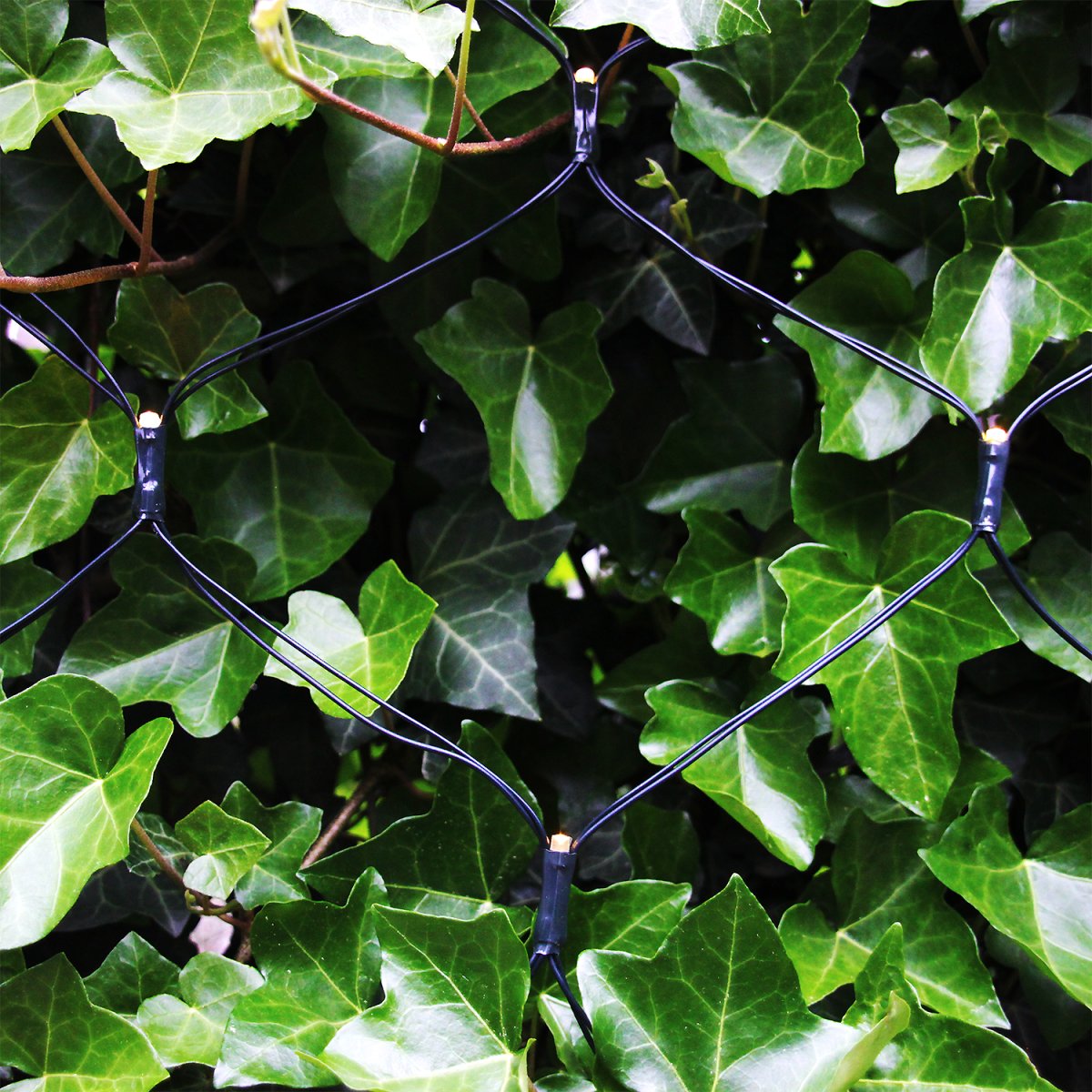 Net Dunkelgrün Von Lightson - Schalten Sie das Licht ein und erfreuen Sie sich an einer glatten und wundersch&ouml;n schimmernden Busch- oder Baumkrone, sowohl zu Weihnachten als auch zu anderen festlichen Anl&auml;ssen.