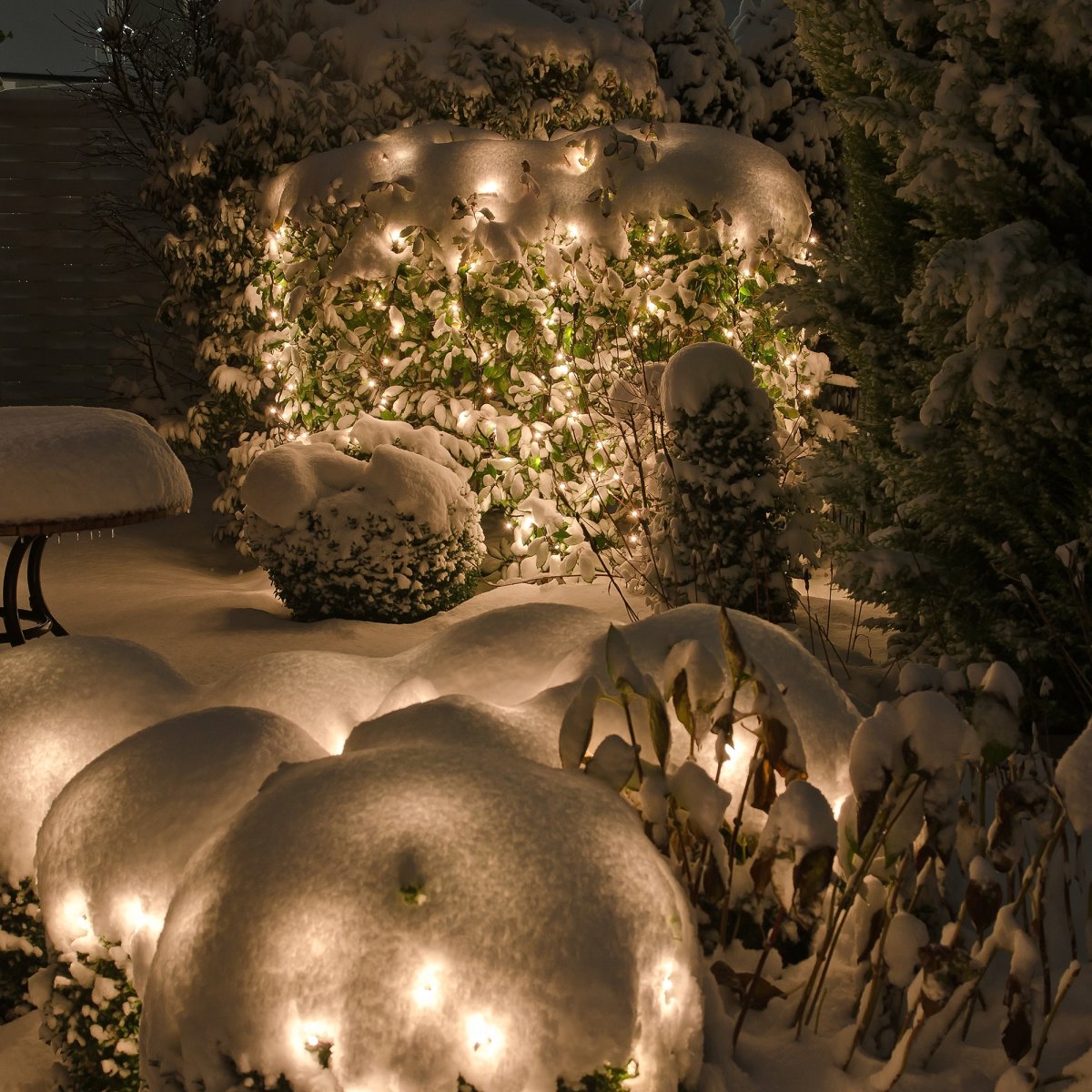 Net Dunkelgrün Von Lightson - Schalten Sie das Licht ein und erfreuen Sie sich an einer glatten und wundersch&ouml;n schimmernden Busch- oder Baumkrone, sowohl zu Weihnachten als auch zu anderen festlichen Anl&auml;ssen.