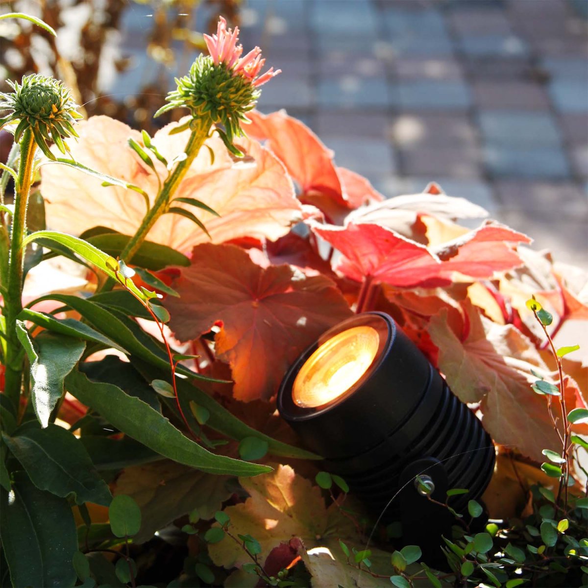 Arcus Schwarz Von Lightson - Mit 16 Millionen Farben zur Auswahl sind die M&ouml;glichkeiten endlos, sowohl f&uuml;r einzelne F&auml;den als auch f&uuml;r das perfekte Gef&uuml;hl f&uuml;r den Alltag und Partys im Lounge-Umfeld.