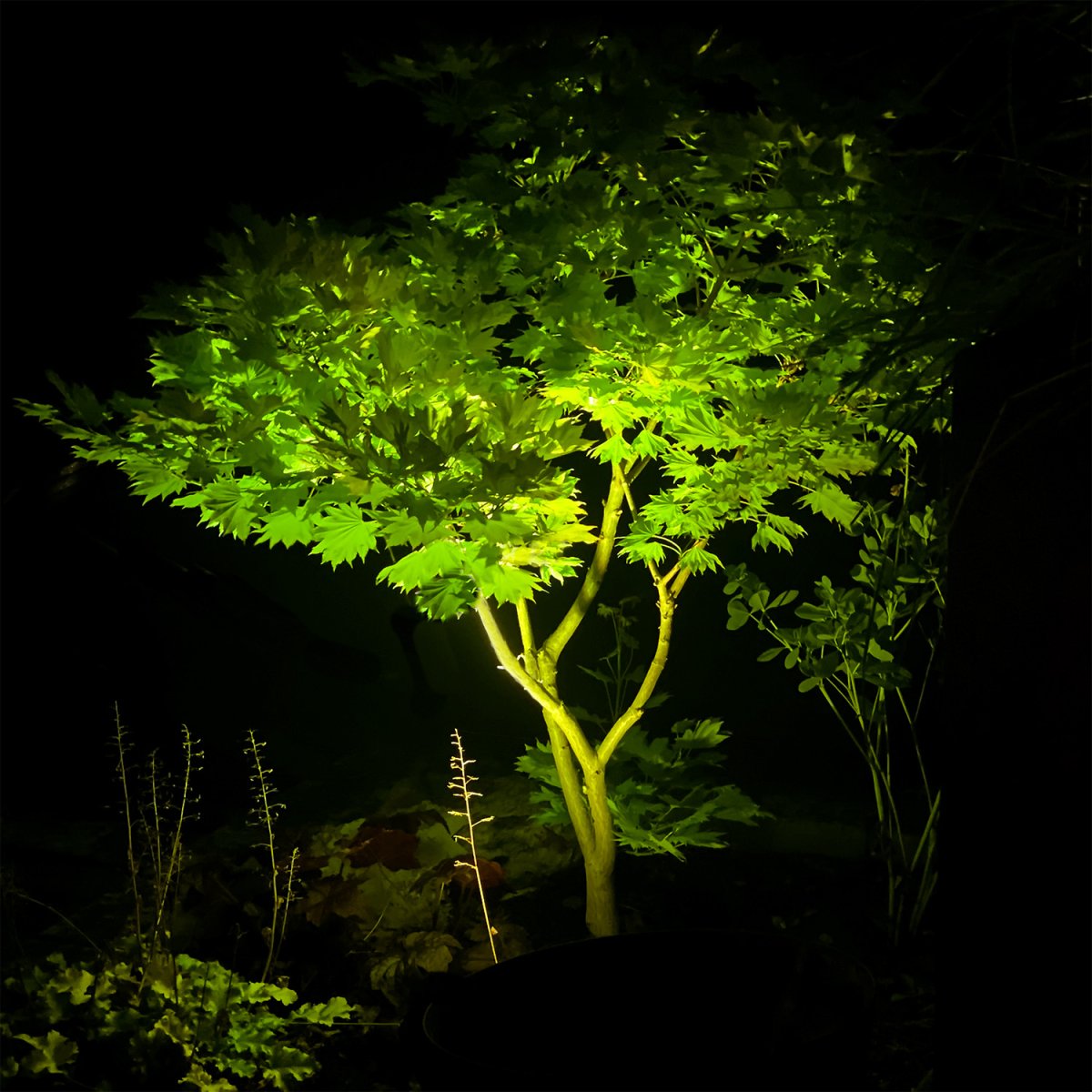 Arcus Schwarz Von Lightson - Mit 16 Millionen Farben zur Auswahl sind die M&ouml;glichkeiten endlos, sowohl f&uuml;r einzelne F&auml;den als auch f&uuml;r das perfekte Gef&uuml;hl f&uuml;r den Alltag und Partys im Lounge-Umfeld.