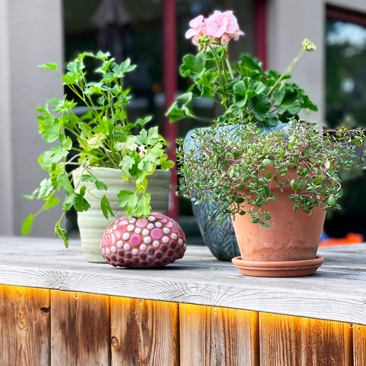 Strip (2.5m) Transparent Von Lightson - Sie können es auch an der Innenseite eines Topfes oder am Rand eines Blumenbeets anbringen, wo es schwierig sein kann, einen schönen und gleichmäßigen Lichtfluss zu erreichen.