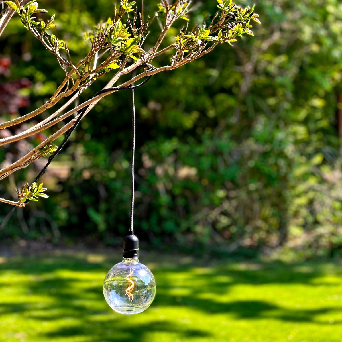 Deco bulb XL Rauchfarben Von Lightson - Sie müssen einen Transformator wählen, der zur Gesamtwattzahl Ihrer Leuchten passt.