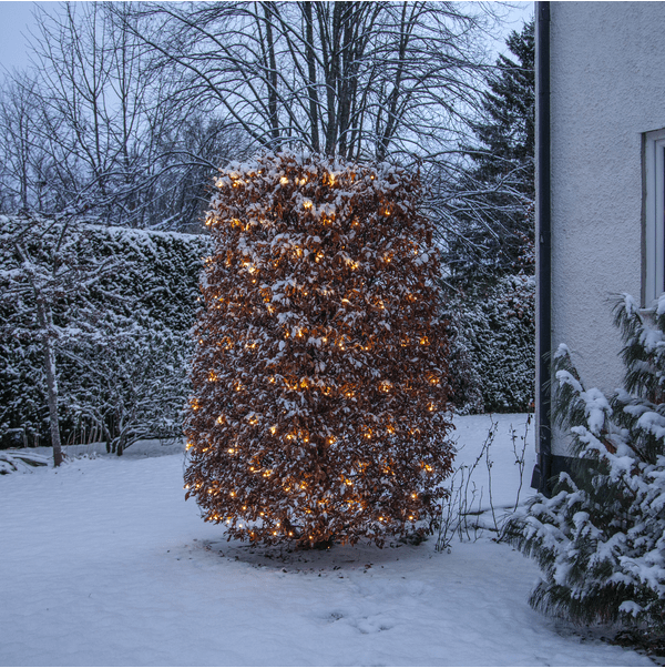 Lichternetz Shiny Warm White 3m Schwarz Von Star Trading - Nachtlicht mit 200 LED-Lichtpunkten mit wundersch&ouml;nem warmwei&szlig;em Licht.