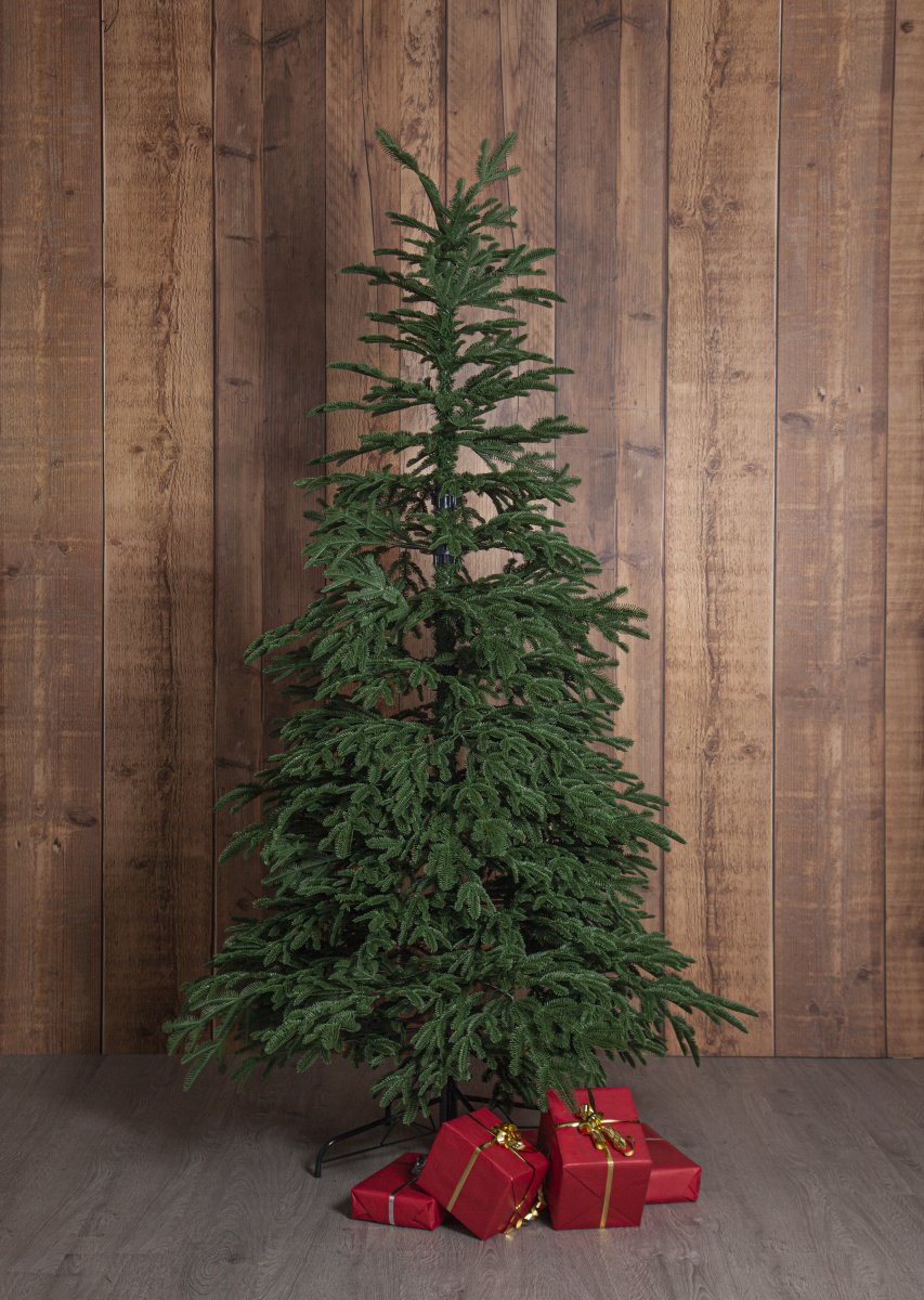 Edane 210cm Grün Von Star Trading - 