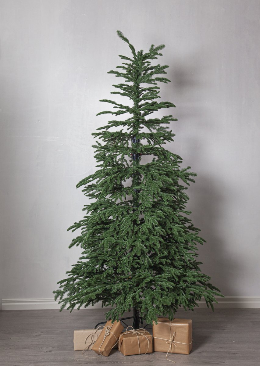 Edane 210cm Grün Von Star Trading - 
