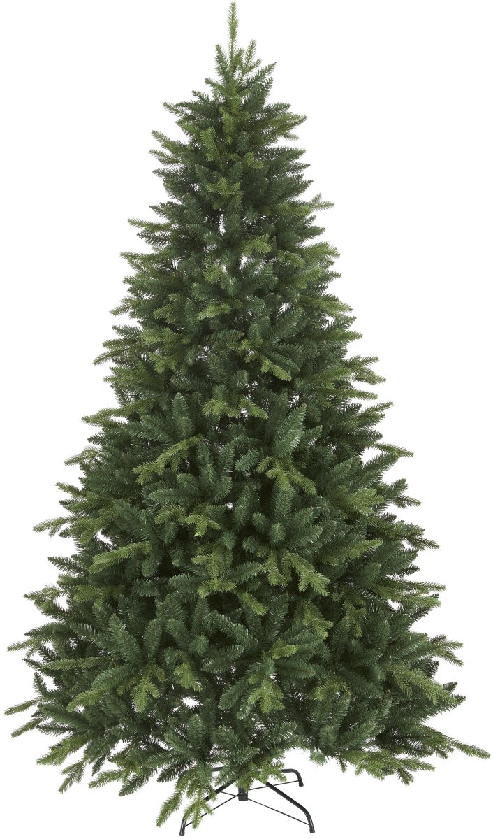 Bergen 210cm Grün Von Star Trading - Eine dichte und sch&ouml;ne Tanne mit einer H&ouml;he von 210cm und dem Einsatzbereich im Innen- und Au&szlig;enbereich.