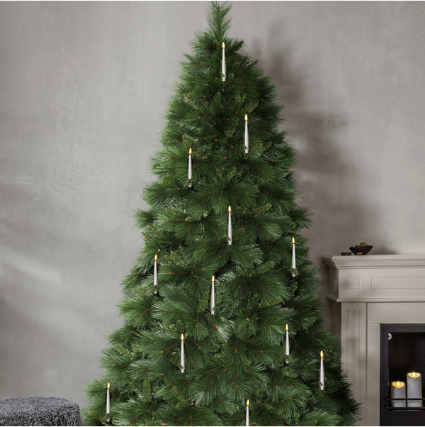 Cembra 240cm Grün Von Star Trading - Der Baum ist 240 cm hoch und ca.