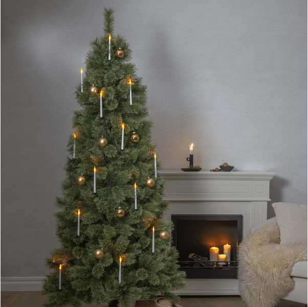 Cembrini 210cm Grün Von Star Trading - Der Weihnachtsbaum ist 210 cm hoch und 100 cm breit und eignet sich daher sowohl f&uuml;r den Innen- als auch f&uuml;r den Au&szlig;enbereich.