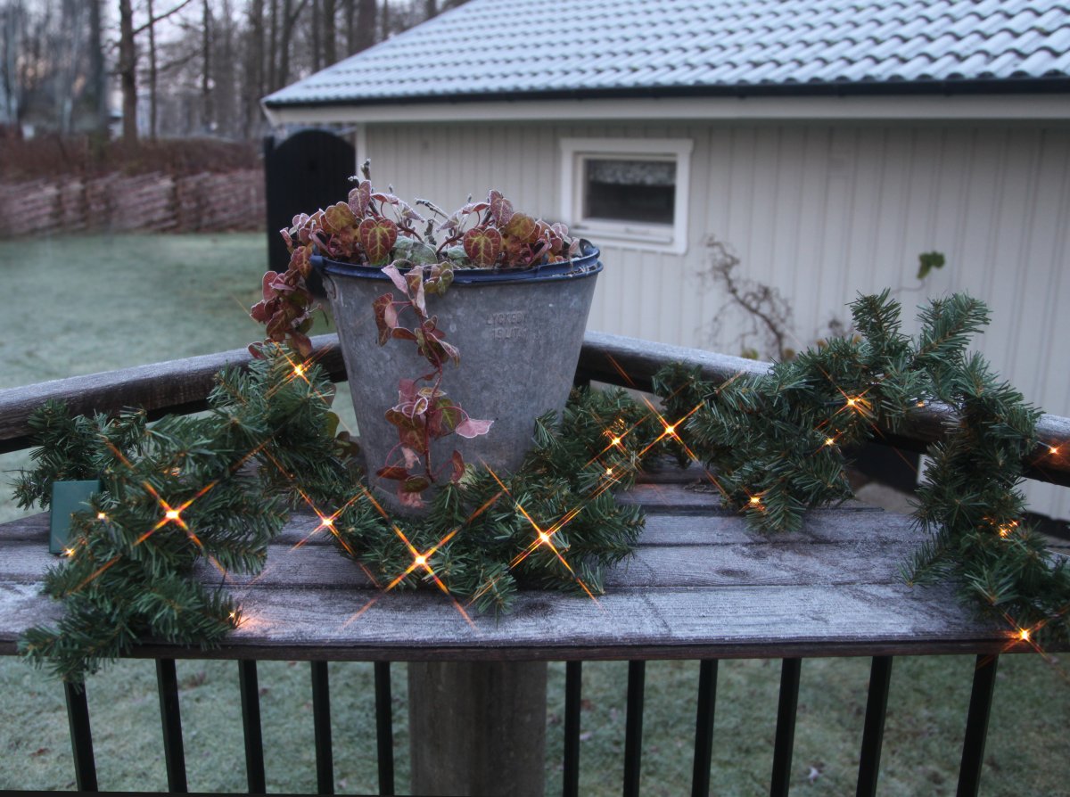 Canadian 250cm Grün Von Star Trading - Batteriebetriebene Girlande mit 30 LED-Lichtern.