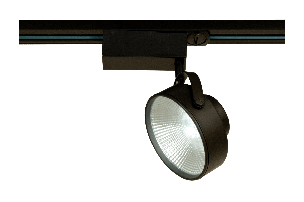 Detroit spot Schwarz Von Aneta Lighting - Mit seiner mattschwarzen Oberfl&auml;che und dem industriellen Design vermittelt es einen modernen Eindruck und eignet sich sowohl f&uuml;r den privaten als auch f&uuml;r den gewerblichen Bereich.