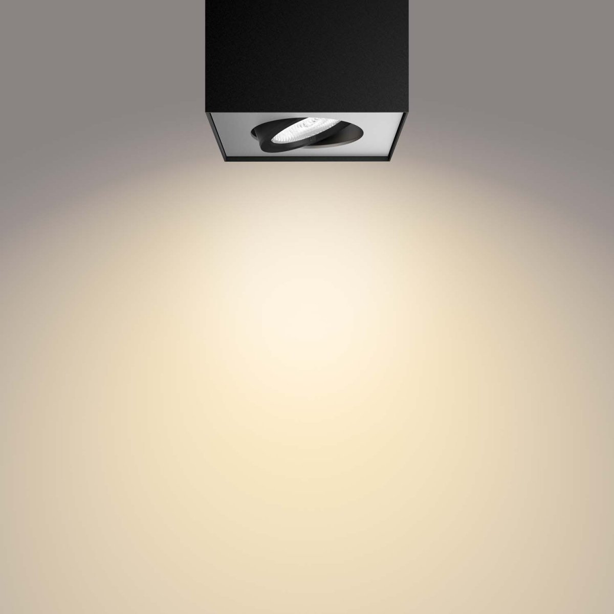 Box Schwarz spotlight Von Philips - Passen Sie die Atmosphäre des Raumes der Aktivität an.