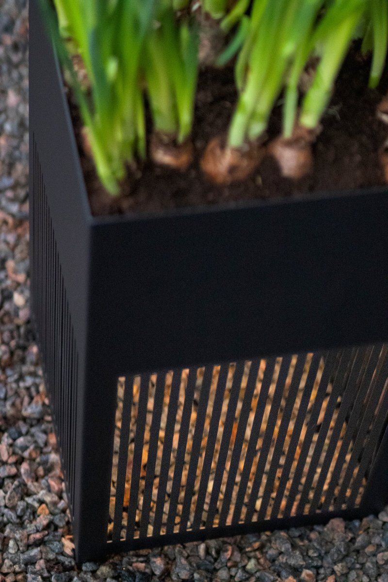 Falsterbo Schwarz Von Globen Lighting - Die Lichtquelle ist maximal an der Unterseite der Lampe, unterhalb der Growbox, angebracht und sorgt für ein nach unten gerichtetes Licht, das sich zum Boden hin ausbreitet und durch die lasergeschnittenen Lamellen im Cortenstahl ein schönes Schattenspiel erzeugt.